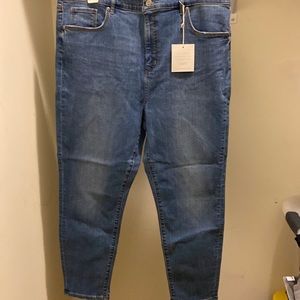 LOFT High Waist Skinny Jean Size 34/18P